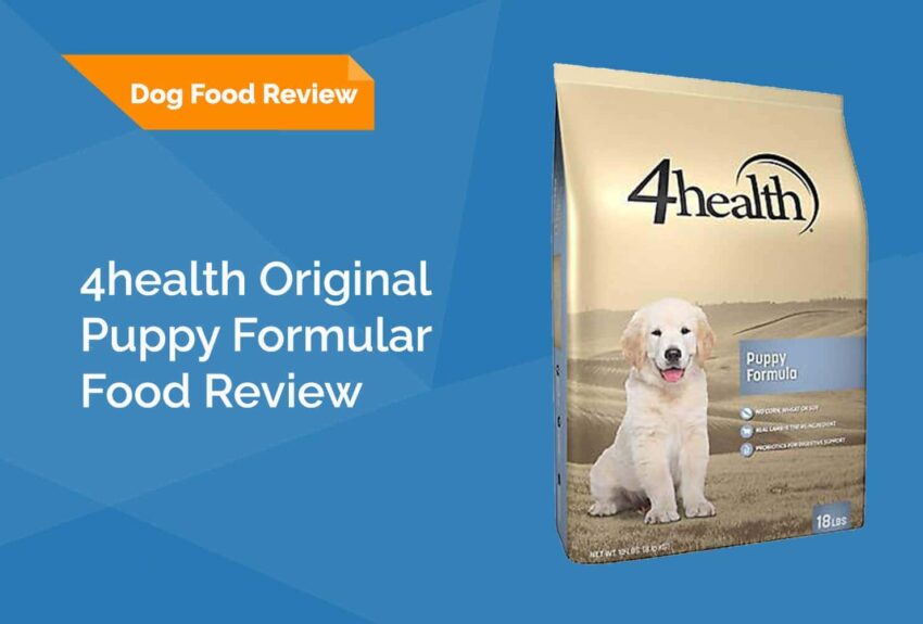 Is 4health Dog Food Grain Free the Right Choice for Your Canine?
