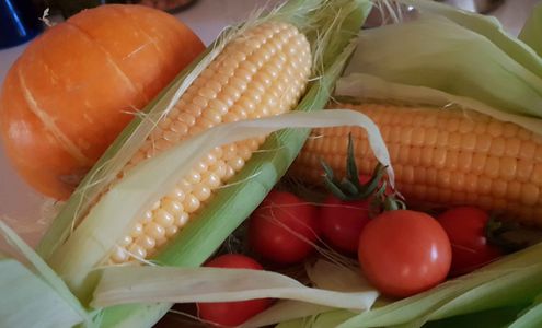 Fair Share Foods: Cultivating Equity and Sustainability in Our Food Systems