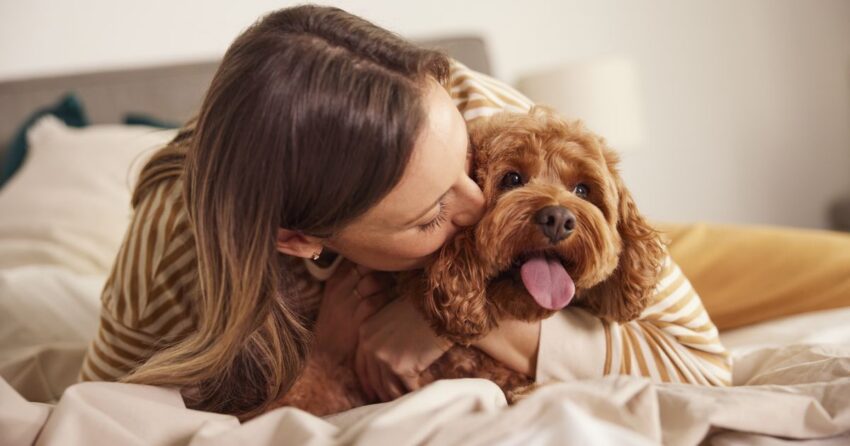 The Ultimate Guide to Food Elimination Diets for Dogs: Identifying and Managing Canine Food Allergies