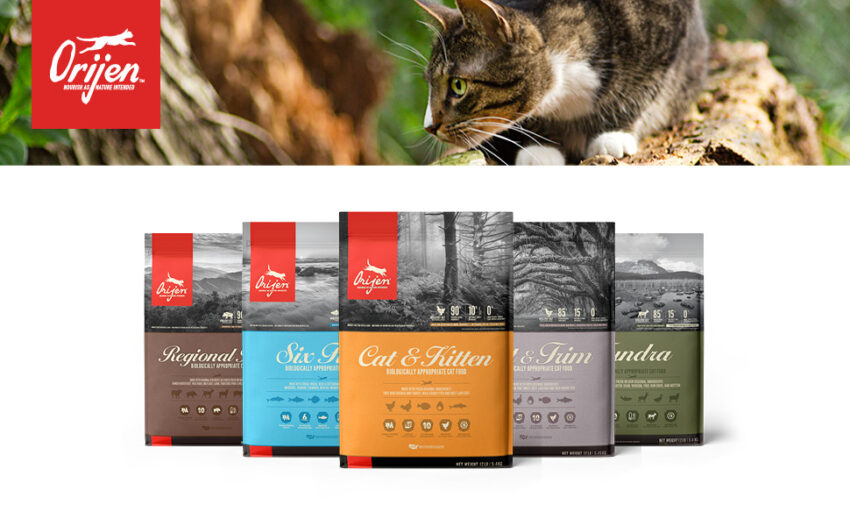 Orijen Cat and Kitten Food: A Comprehensive Review for Discerning Owners