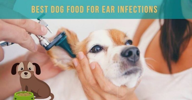 Dog Food for Ear Infections: A Comprehensive Guide to Nutrition and Canine Ear Health