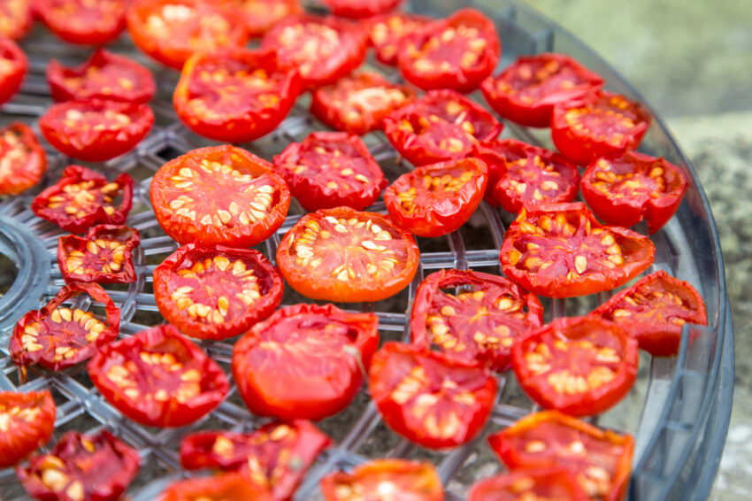 Gourmia Food Dehydrator: A Comprehensive Guide to Healthy and Delicious Homemade Snacks