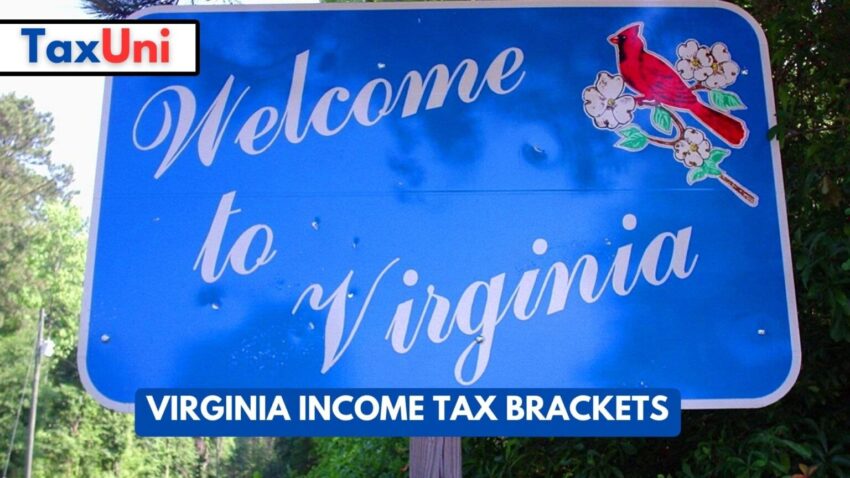 Navigating Food Taxes in Virginia: A Comprehensive Guide