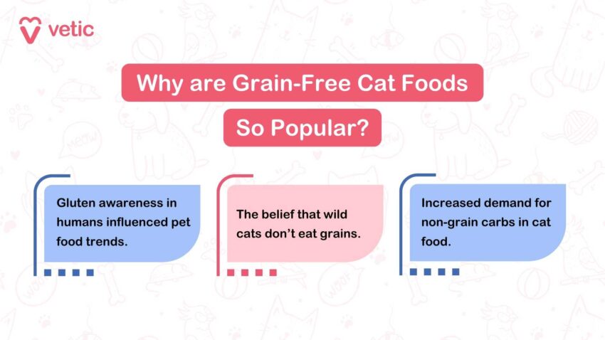 Grain-Free Cat Food Brands: A Comprehensive Guide for Feline Health
