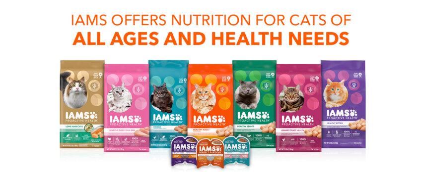 Iams Healthy Adult Cat Food: A Comprehensive Review for Discerning Owners