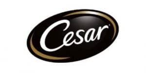 Cesar Dog Food Recalls: What Pet Owners Need to Know