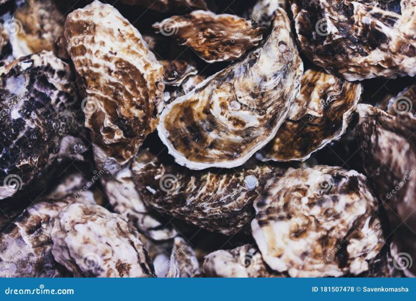 Seafood: Nature’s Aphrodisiacs – Unleash Your Inner Passion