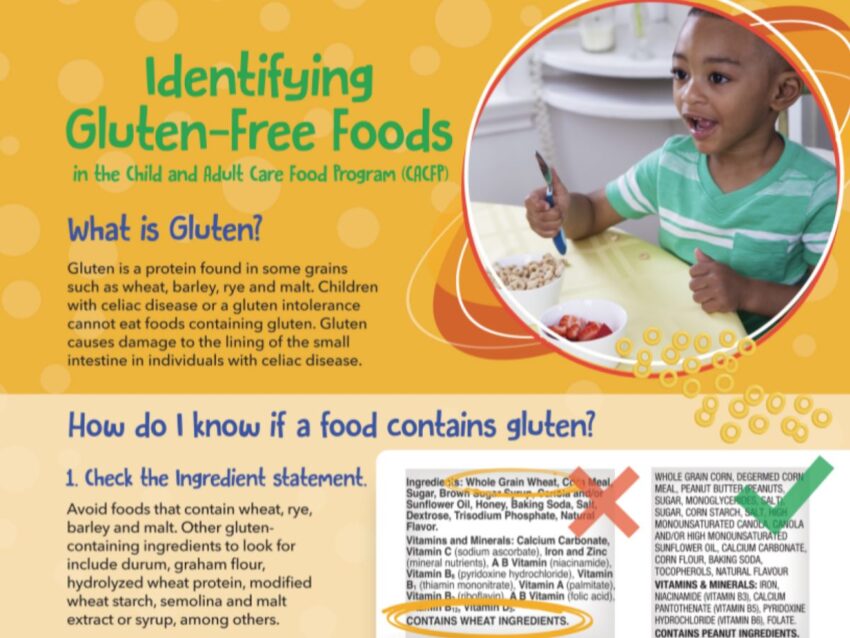 Gluten-Free Food Magazine: Your Guide to a Delicious and Healthy Gluten-Free Lifestyle