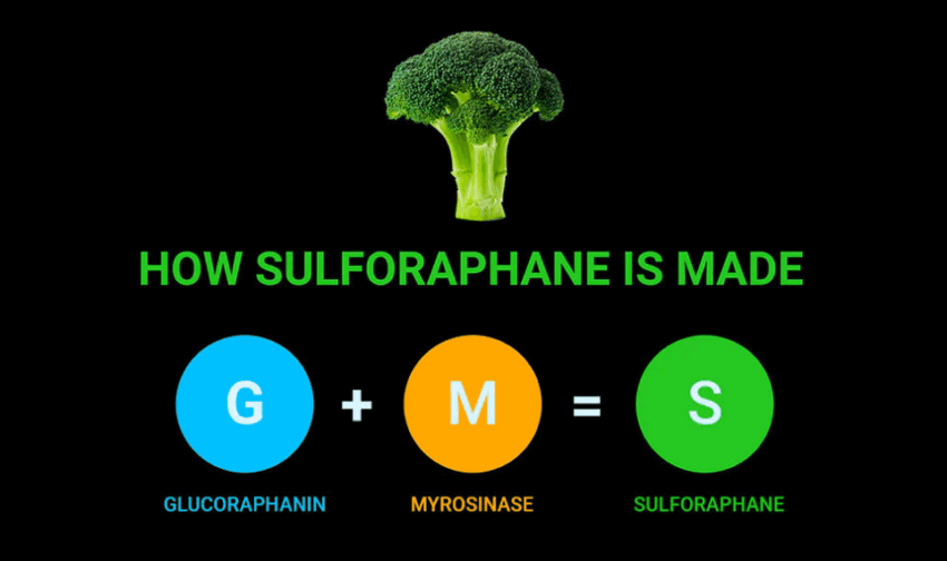 Unlocking the Power of Sulforaphane: A Guide to Foods Rich in This Potent Compound