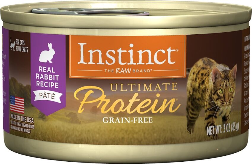 Novel Protein Cat Food: A Comprehensive Guide to Alternative Protein Sources for Feline Health