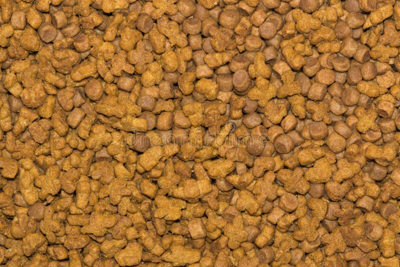 Kibble Cat Food: A Comprehensive Guide to Choosing the Best Dry Food for Your Feline Friend