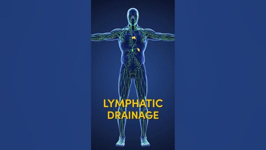 Supercharge Your Lymphatic System: The Ultimate Guide to Foods for Lymphatic Drainage
