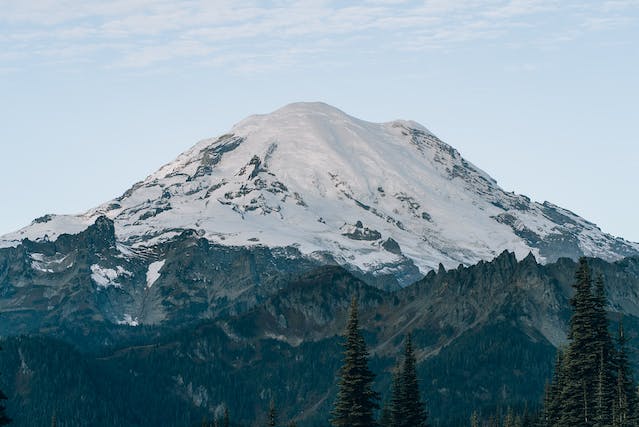 Navigating Washington Food Permits: A Comprehensive Guide for Food Businesses
