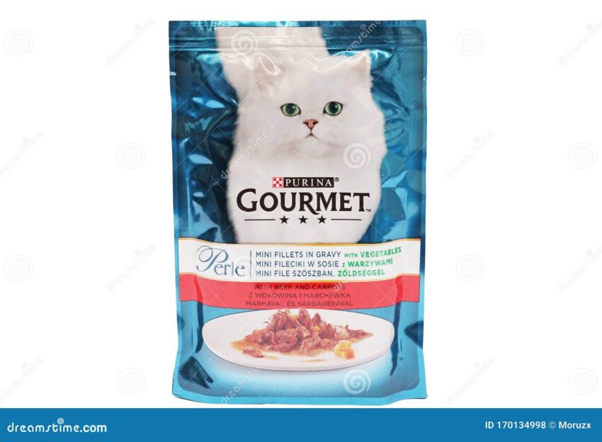 Carrot Cat Food: Is This Vegetable a Safe and Healthy Treat for Your Feline?