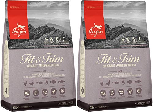 Orijen Tundra Dog Food: A Deep Dive into Its Benefits and Nutritional Value