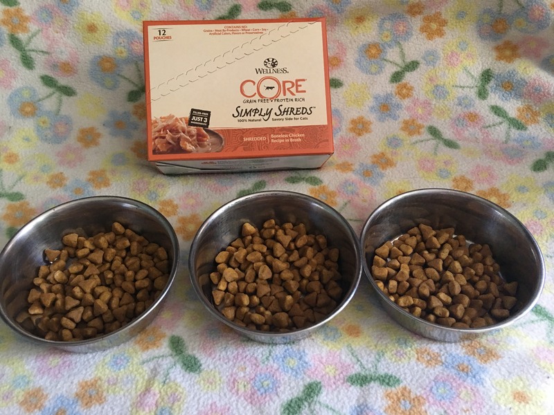 The Ultimate Guide to Cat Food for Finicky Eaters: Solving Feline Pickiness