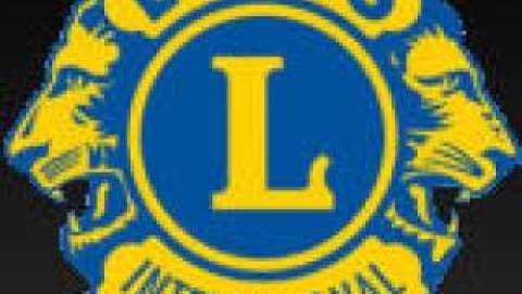 Mount Airy Food Lion: More Than Just Groceries in This Quaint Town Mount Airy Food Lion: More Than Just Groceries in This Quaint Town