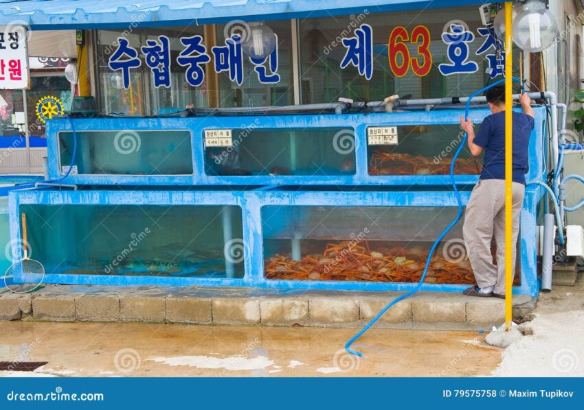The Comprehensive Guide to Live Food for Fish: Ensuring Optimal Health and Growth
