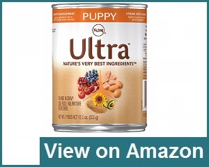 Nutro Ultra Dog Food Reviews: Is This Premium Blend Worth the Hype?