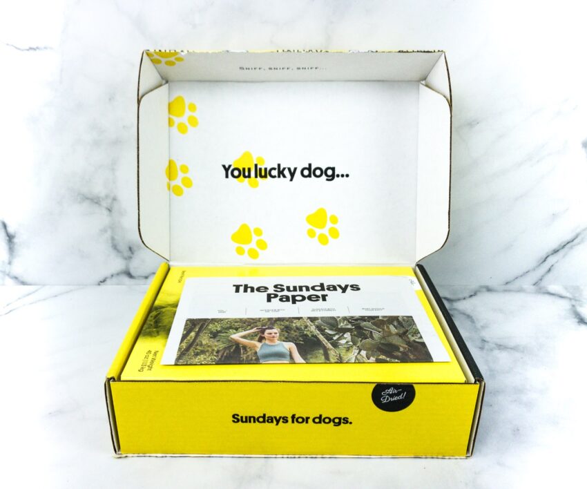 Decoding Sunday Dog Food Price: Is It Worth the Investment?